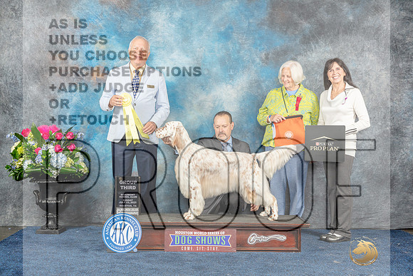 English Setter #22 Sun G3 Judge Dr Eric Liebes-MJP_7920_HSTN2023-HR3