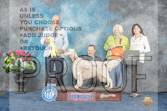 English Setter #22 Sun G3 Judge Dr Eric Liebes-MJP_7924_HSTN2023-HR3