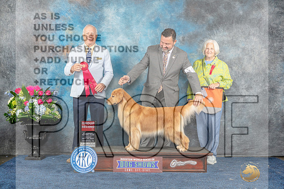 Golden Retriever #20 Sun G2 Judge Dr Eric Liebes-MJP_7908_HSTN2023-HR3