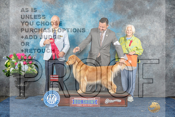 Golden Retriever #20 Sun G2 Judge Dr Eric Liebes-MJP_7909_HSTN2023-HR3