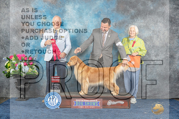 Golden Retriever #20 Sun G2 Judge Dr Eric Liebes-MJP_7912_HSTN2023-HR3