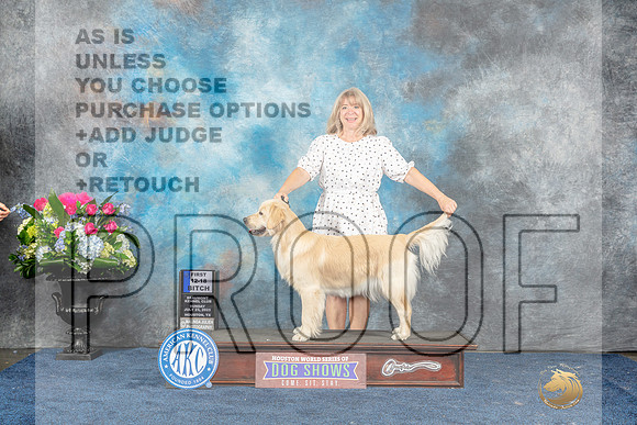 Golden Retriever #8 Fri 12-181st Judge Joan Liebes-MJP_7961_HSTN2023-HR3