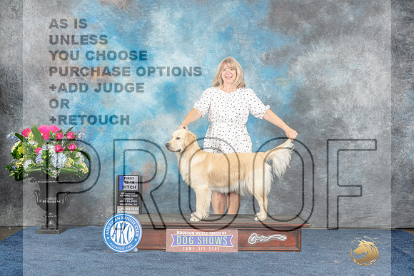 Golden Retriever #8 Fri 12-181st Judge Joan Liebes-MJP_7962_HSTN2023-HR3