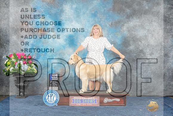 Golden Retriever #8 Fri 12-181st Judge Joan Liebes-MJP_7963_HSTN2023-HR3