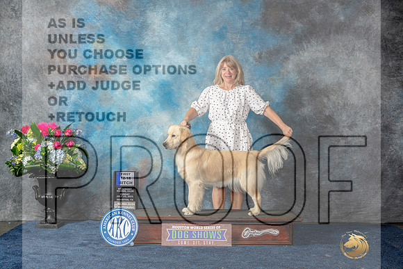 Golden Retriever #8 Fri 12-181st Judge Joan Liebes-MJP_7968_HSTN2023-HR3