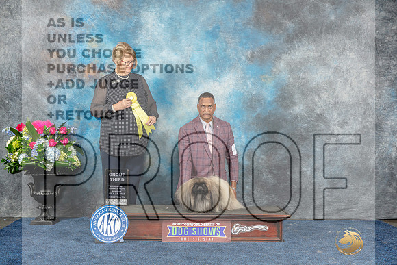 Pekingese #7 Sun G3 Judge Cindy Lane-MJP_8239_HSTN2023-HR3