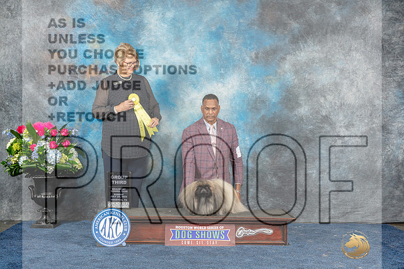 Pekingese #7 Sun G3 Judge Cindy Lane-MJP_8240_HSTN2023-HR3