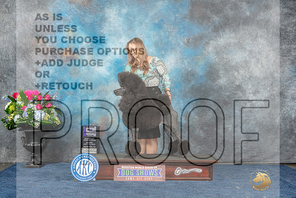 Poodle Std #334 Sun WBM Judge Ken Levison-MJP_8026_HSTN2023-HR3