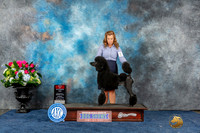 Poodle Std #44 Sun BOS Judge Ken Levison