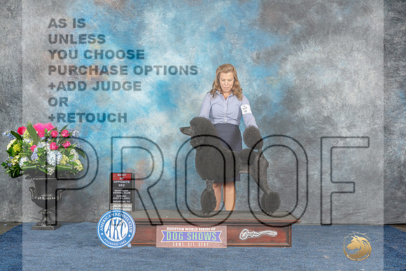 Poodle Std #44 Sun BOS Judge Ken Levison-MJP_8039_HSTN2023-HR3