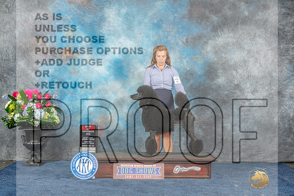 Poodle Std #44 Sun BOS Judge Ken Levison-MJP_8045_HSTN2023-HR3