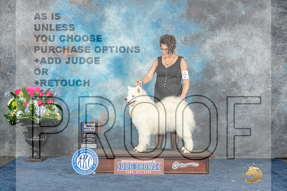 Samoyed #16 Sun BOWWB  Judge Cheryl Patterson-MJP_7834_HSTN2023-HR3