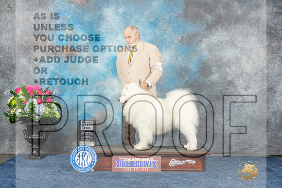 Samoyed #19 Sun SDM Judge Cheryl Patterson-MJP_7848_HSTN2023-HR3
