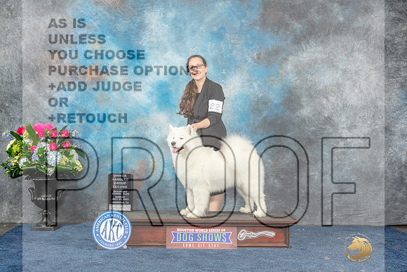 Samoyed #22 Sun OHG2 Judge Lydia Hutchinson-MJP_8171_HSTN2023-HR3