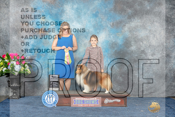 Shetland Sheepdog #151 Sun BJr Judge Mrs Gary D Whitmore-Kirschner-MJP_7702_HSTN2023-HR3