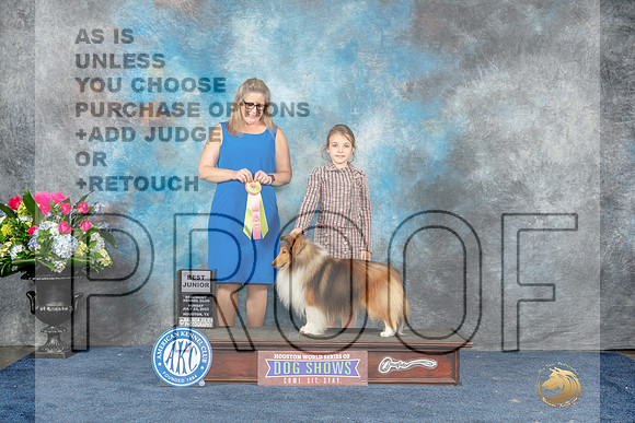 Shetland Sheepdog #151 Sun BJr Judge Mrs Gary D Whitmore-Kirschner-MJP_7705_HSTN2023-HR3