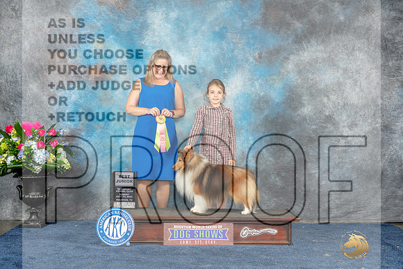 Shetland Sheepdog #151 Sun BJr Judge Mrs Gary D Whitmore-Kirschner-MJP_7706_HSTN2023-HR3