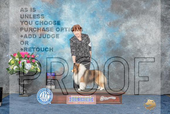 Shetland Sheepdog #17 Sun BOBOHBOB Judge Lydia Hutchinson-MJP_7560_HSTN2023-HR3