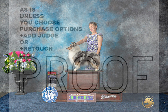 Shetland Sheepdog #48 Sun BOWBOSCh Judge Lydia Hutchinson-MJP_7762_HSTN2023-HR3