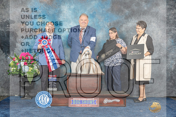 Shih Tzu #7 Sun BIS Judge Ray Filburn Jr-MJP_8352_HSTN2023-HR3