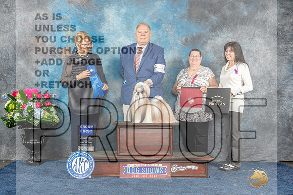 Shih Tzu #7 Sun G1 Judge Cindy Lane-MJP_8227_HSTN2023-HR3