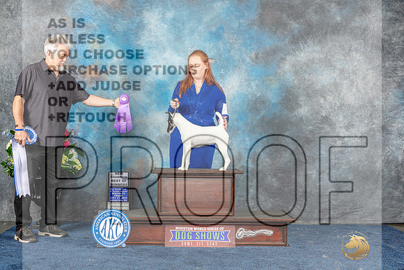 Smooth Fox Terrier #10 Fri BOWWBCH Judge Elizabeth Muthard-MJP_8127_HSTN2023-HR3