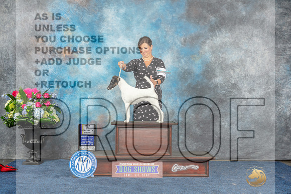 Smooth Fox Terrier #9 Sat BISS Judge Pat Trotter-MJP_8010_HSTN2023-HR3