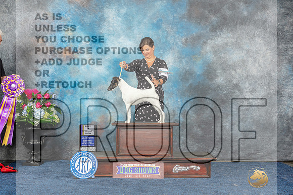 Smooth Fox Terrier #9 Sat BISS Judge Pat Trotter-MJP_8015_HSTN2023-HR3