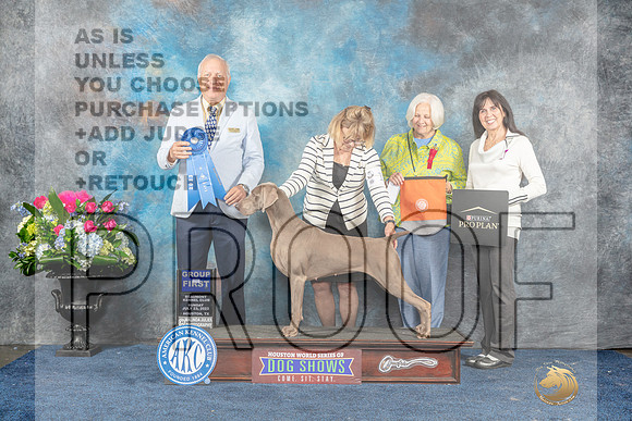 Weimaraner #10 Sun G1 Judge Dr Eric Liebes-MJP_7927_HSTN2023-HR3