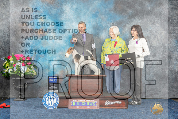 Wirehaired Fox Terrier #19 Sun G1 Judge Pat Trotter-MJP_7987_HSTN2023-HR3