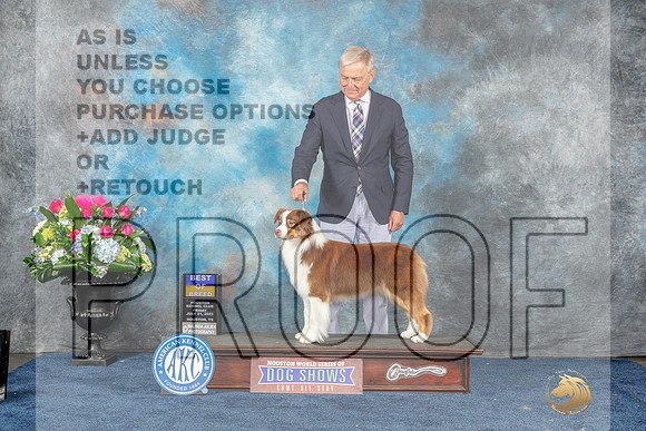 Australian Shepherd #26 Fri BOB Judge Eric Liebes-MJP_7590_HSTN2023-HR3