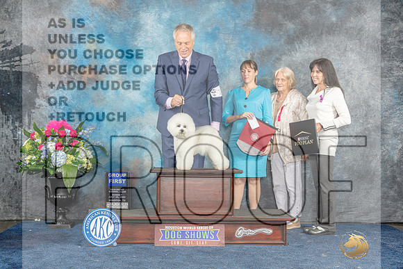 Bichon Frise #15 Sun Judge Ken Levison-MJP_8277_HSTN2023-HR3