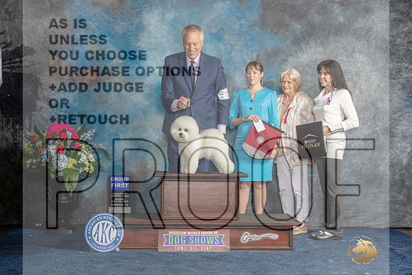 Bichon Frise #15 Sun Judge Ken Levison-MJP_8279_HSTN2023-HR3