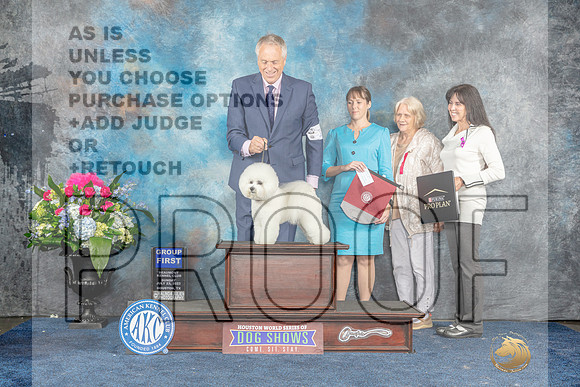 Bichon Frise #15 Sun Judge Ken Levison-MJP_8280_HSTN2023-HR3