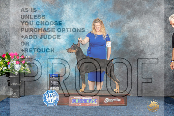 Doberman Pinscher #21 Sun BOW Judge Del Richards-MJP_7732_HSTN2023-HR3