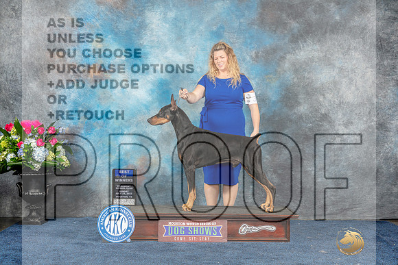 Doberman Pinscher #21 Sun BOW Judge Del Richards-MJP_7734_HSTN2023-HR3