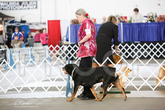 _JN_8240-DallasJul2014-HR3