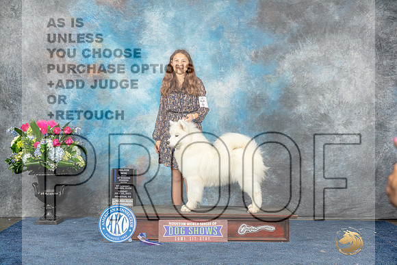 Samoyed #10 Sun BOWWB Judge -MJP_7881_HSTN2023-HR3