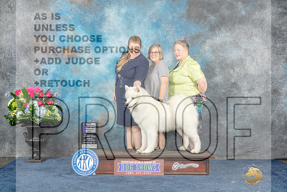Samoyed #23 Sun WDMCH Judge Cheryl Patterson-MJP_7803_HSTN2023-HR3