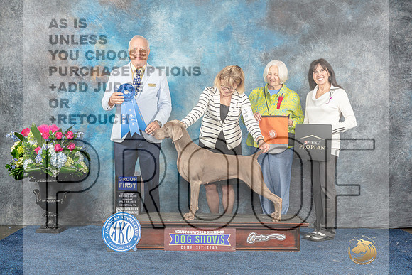 Weimaraner #10 Sun G1 Judge Dr Eric Liebes-MJP_7932_HSTN2023-HR3
