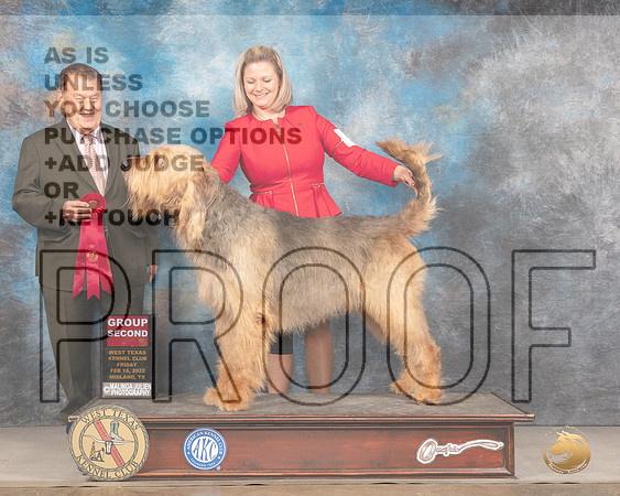 Otterhound #5 Fri G2 Judge Del RichardsMMJ_3481_Mdlnd2022_HR3