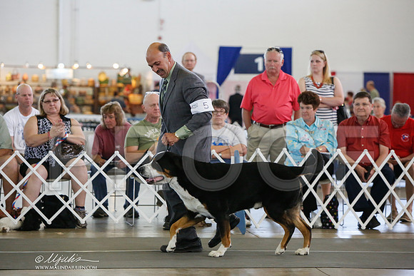 _JJ_1688-DallasJul2014-HR3
