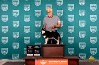 Alaskan Klee Kai #156 Sat NTCHBOW Judge