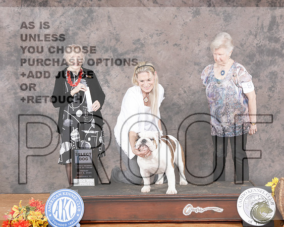 Bulldog #8 Fri SD Judge Nancy LiebesBulldog #8 Fri SD Judge Nancy Liebes_WP_1617e-Marshall 2025-HR3