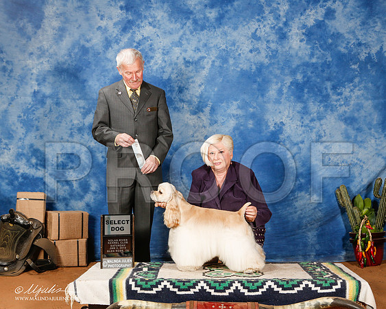 _ST_1531-2-GlenRoseJan2015-HR3