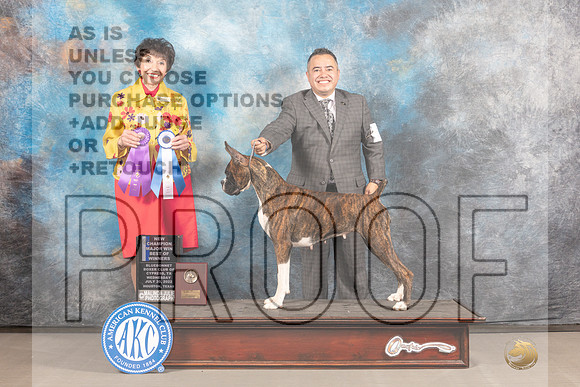 Boxer #36 WED BOW Judge Barbara Alderman-_MJ_1838_Hstn2022-HR3