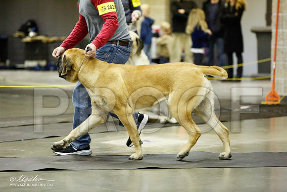 _RH_1715-BeltonJan2015IABCA-HR3