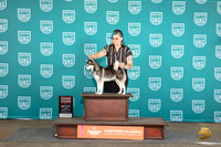 Alaskan Klee Kia #552 Sun G2 Judge Sharon Griffin