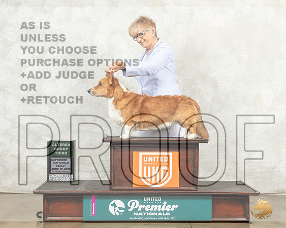 Cardigan Welsh Corgi #369 Fri AG3 Judge Mary Ellen Meyers__MJ_8199_Premier_2022_HR3