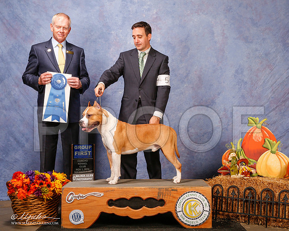 _CL_4519-2-SanAngelo2014-HR3